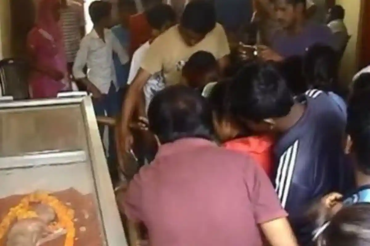 Warga New Delhi Geger, Anak Sapi Berwajah Mirip Manusia Ini Diyakini Titisan Dewa