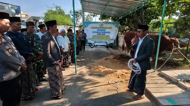 Tribun