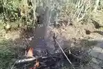 Kabur dari Kejaran Warga, Maling Alpukat di Malang Disasak Mobil, Babak Belur Diamuk Massa