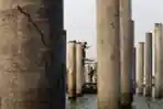 Perkembangan Pembangunan Pelabuhan New Tanjung Priok