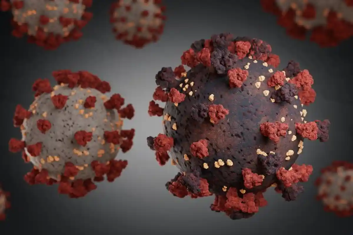 Omicron Mayoritas Berasal dari Pelaku Perjalanan Luar Negeri, Wagub DKI Imbau Warga Patuhi Karantina