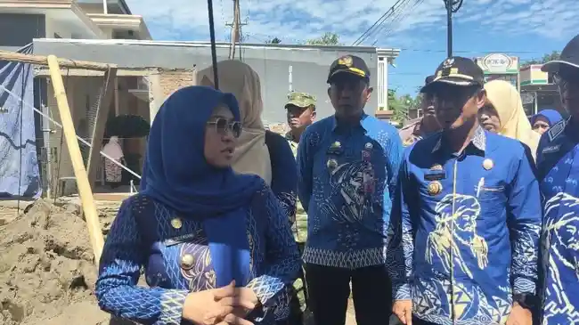 Tribun