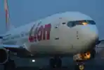 kronologi-insiden-lion-air-batal-terbang-ke-soekarno-hattapilot-putar-balik-ke-bandara-sultan-thaha.jpg