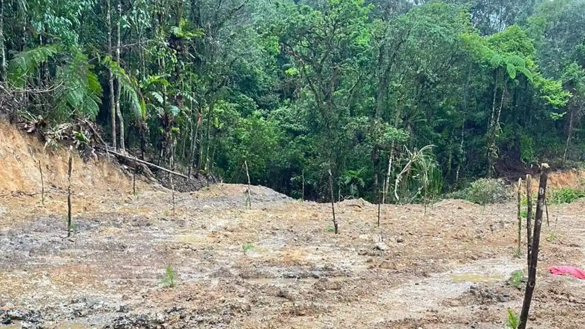 Polisi Periksa 9 Saksi Dugaan Pembalakan Hutan Lindung di Gowa