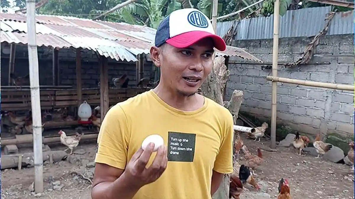 Ide Bisnis Telur Omega dari Ayam Elba: Peternak di Mataram Ini Banjir Pesanan Sampai Antre 1 Bulan