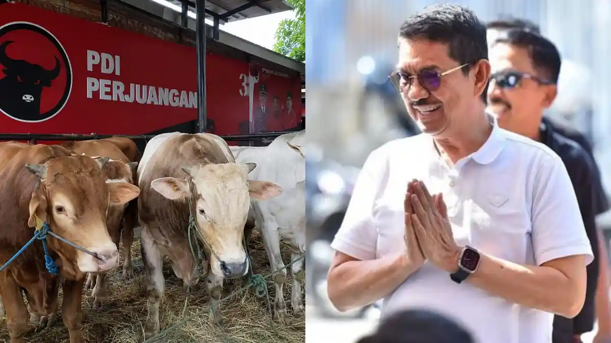 Rekor Terbanyak Ketua Parpol, Ridwan Wittiri Kurban 45 Sapi ke Makassar, Gowa hingga Selayar