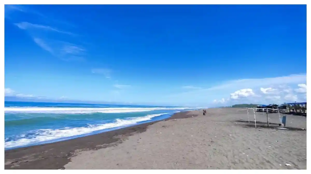 Semua Ada di Pantai Purworejo Jateng ini, Cari Undur-Undur Hingga Terapi Garam, 38 Menit dari Kota