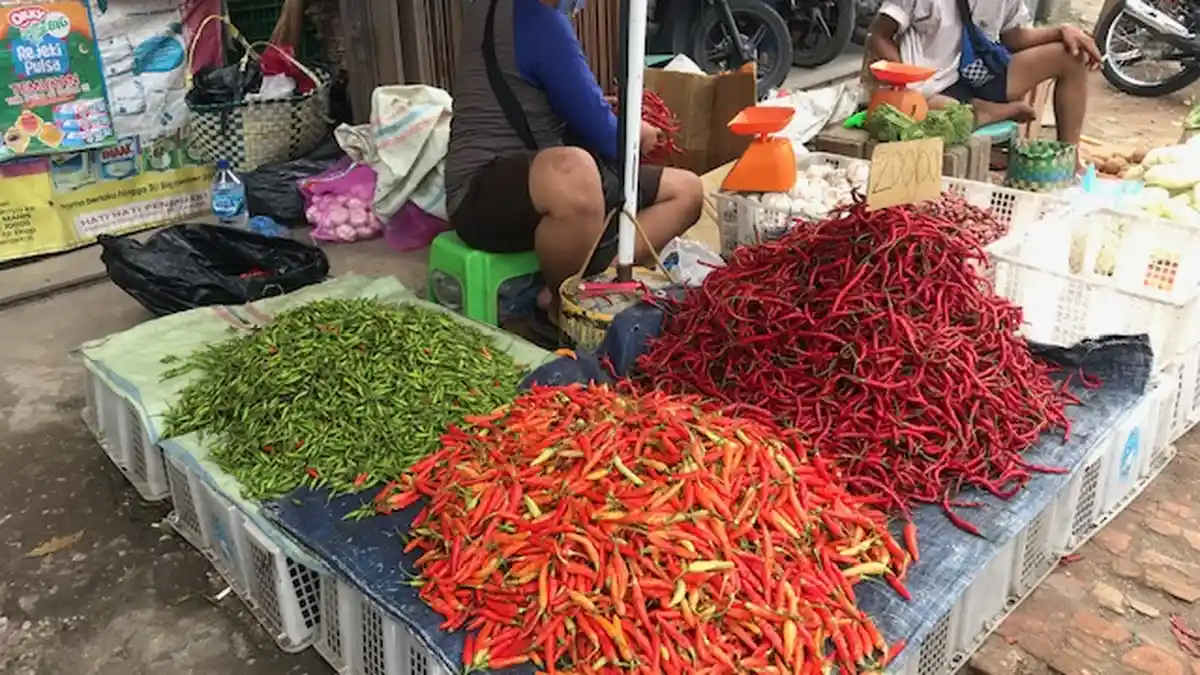 Harga Cabai di Jambi Rabu (7/7/2021) Naik, Cabai Rawit Merah Capai Rp 50 Ribu Per Kilogram