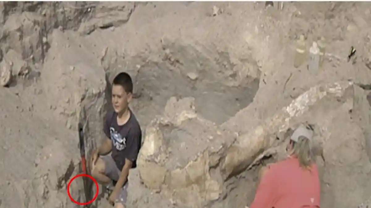 Sang Bocah Tak Sengaja Tersandung Benda Menancap di Tanah saat Digali Bikin Semua Syok