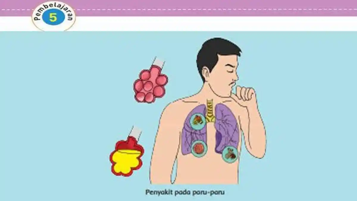 Kunci Jawaban Tema 2 Kelas 5 Halaman 80 - 84 Subtema 2 Pentingnya Udara Bersih bagi Pernapasan