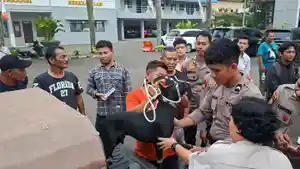 anjing-penyebab-di-jasingaa.jpg