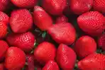 stroberi-cc.jpg