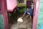 Banjir Landa Malang Akibat Hujan Deras