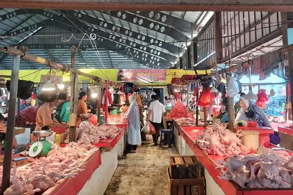Harga Ayam di Kota Jambi Turun Lagi, Mulai Rp 23 Ribu per Kg