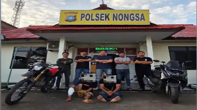 Tribun