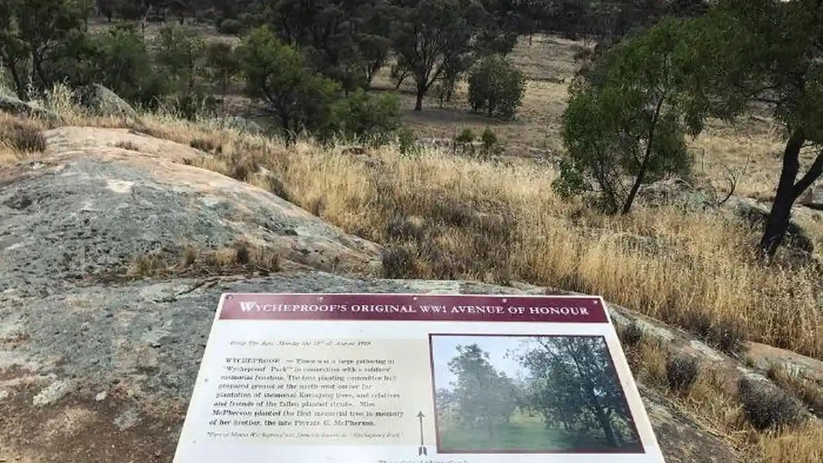 Fakta Unik Wycheproof, Gunung Terkecil di Dunia yang Berada di Australia, Berbahayakah?