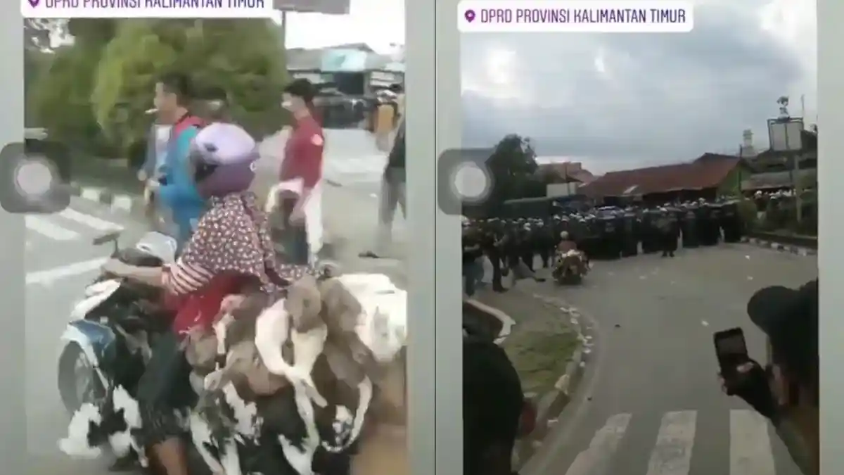 Viral Emak-emak di Samarinda Bawa Puluhan Bebek Terobos Barikade Polisi Saat Demo
