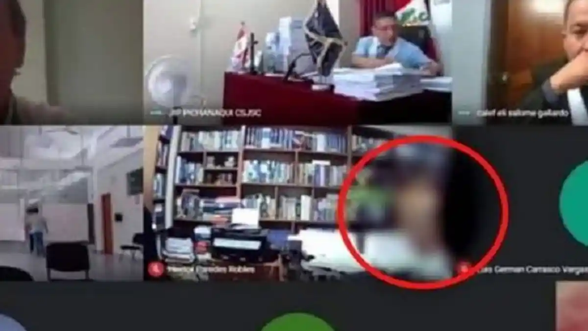 Sidang Lewat Zoom dan Ditonton Banyak Orang, Hakim Kaget Lihat Wanita Tak Berbusana Dekati Pengacara