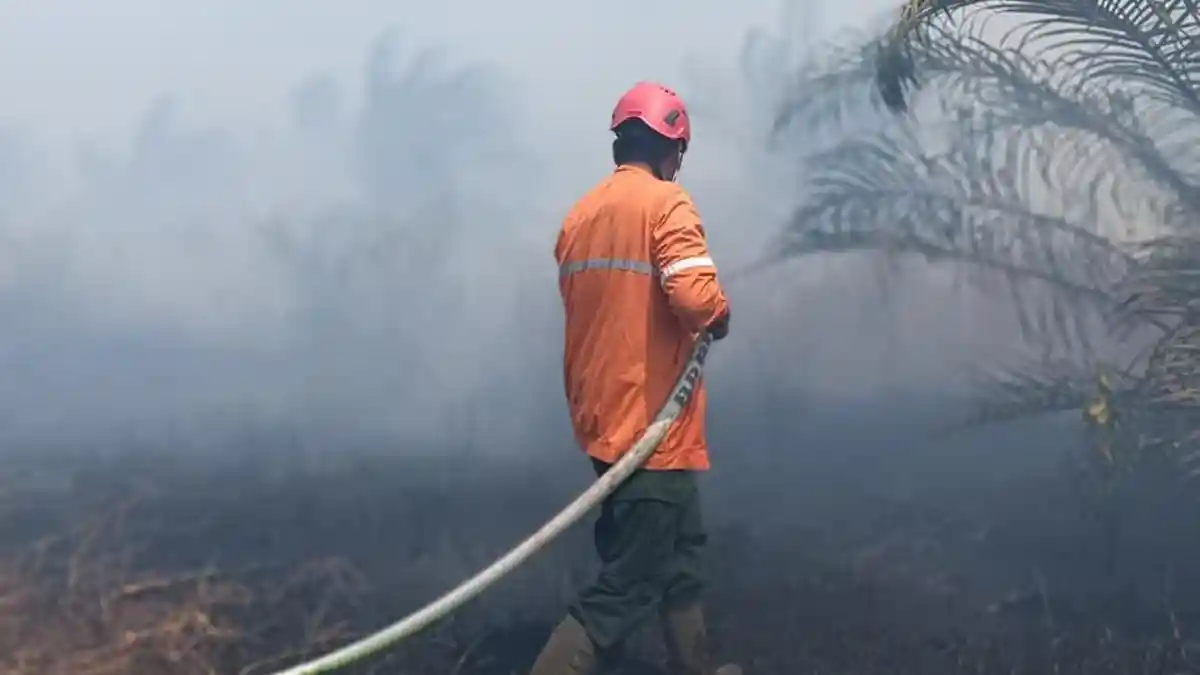 BMKG Ungkap 509 Zona Musim Sudah Kemarau, Kalimantan Barat Diminta ...