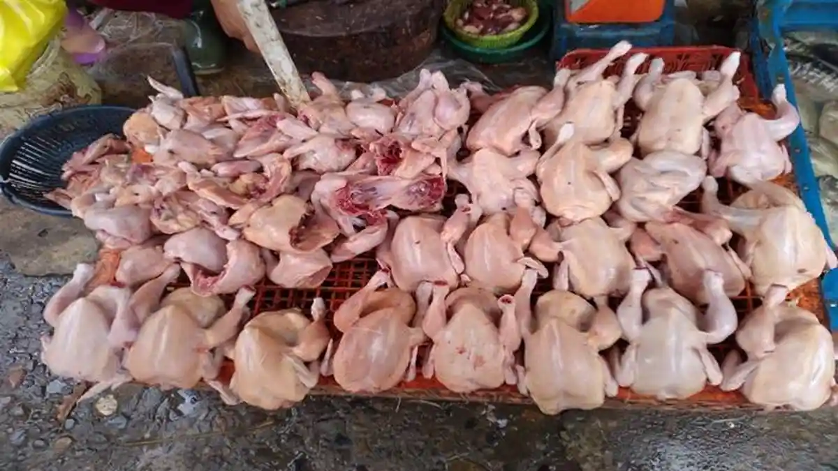 Update Harga Ayam Hari Ini Kamis 17 November 2022 di Pasar 26 Ilir Palembang, Rp 23.000 Per Kilo
