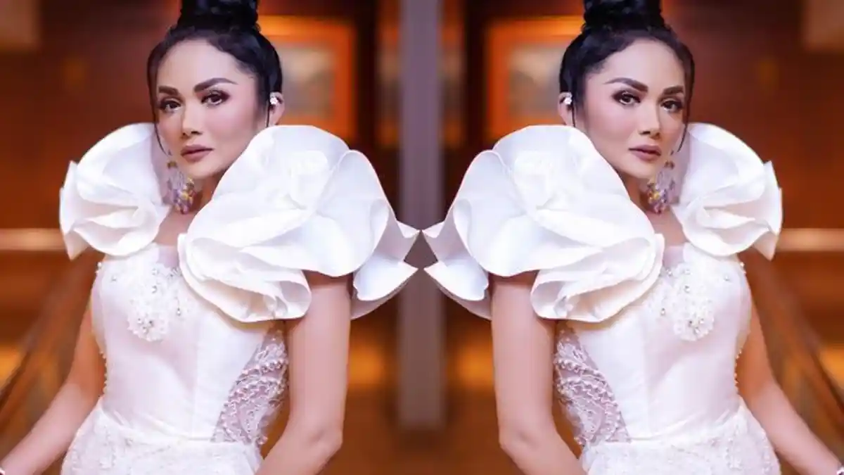 MKD DPR Kecewa Krisdayanti Beri Klarifikasi di Youtube: Saya Khawatir Itu Ganggu Konsentrasi KD