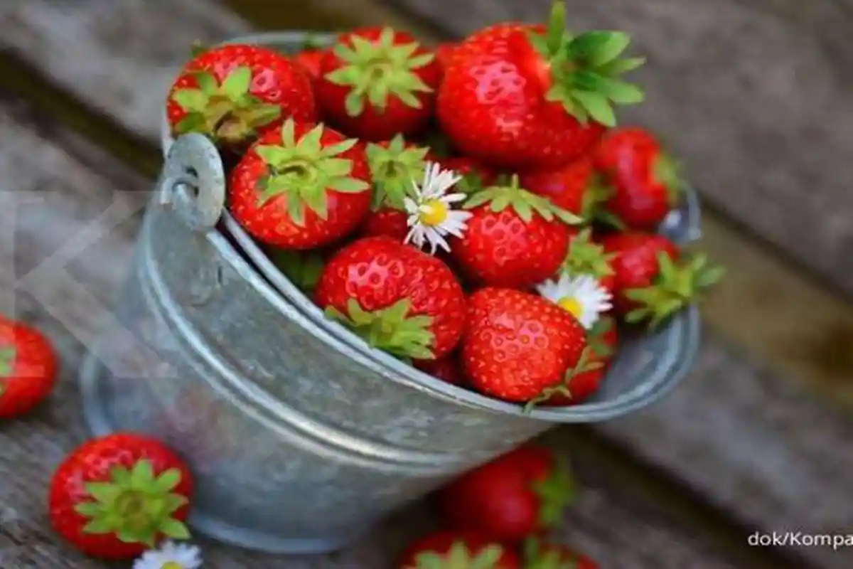 Daftar Buah yang Wajib Dikonsumsi untuk Menurunkan Berat Badan