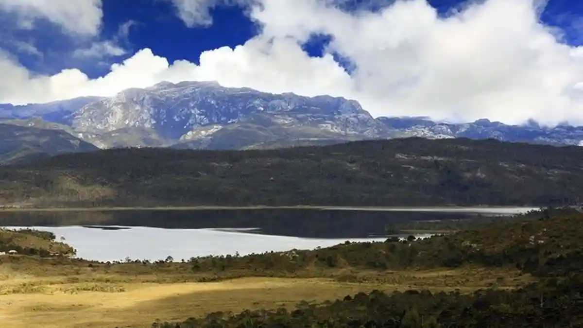 Intip Indahnya Danau Habema di Papua, Julukannya 'Danau di Atas Awan'