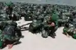 TNI Kirim Prajurit ke Perbatasan Malaysia 