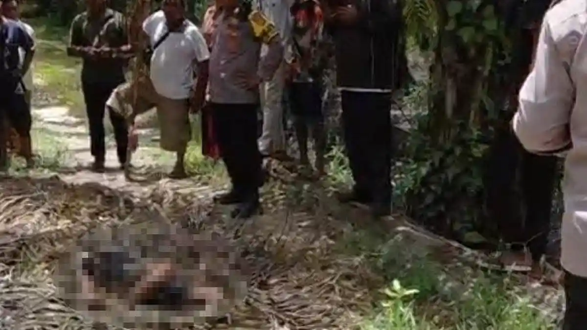 Polisi Temukan Kejanggalan Kasus Mayat di Kebun Sawit Nagan Raya, Diduga Korban Pembunuhan