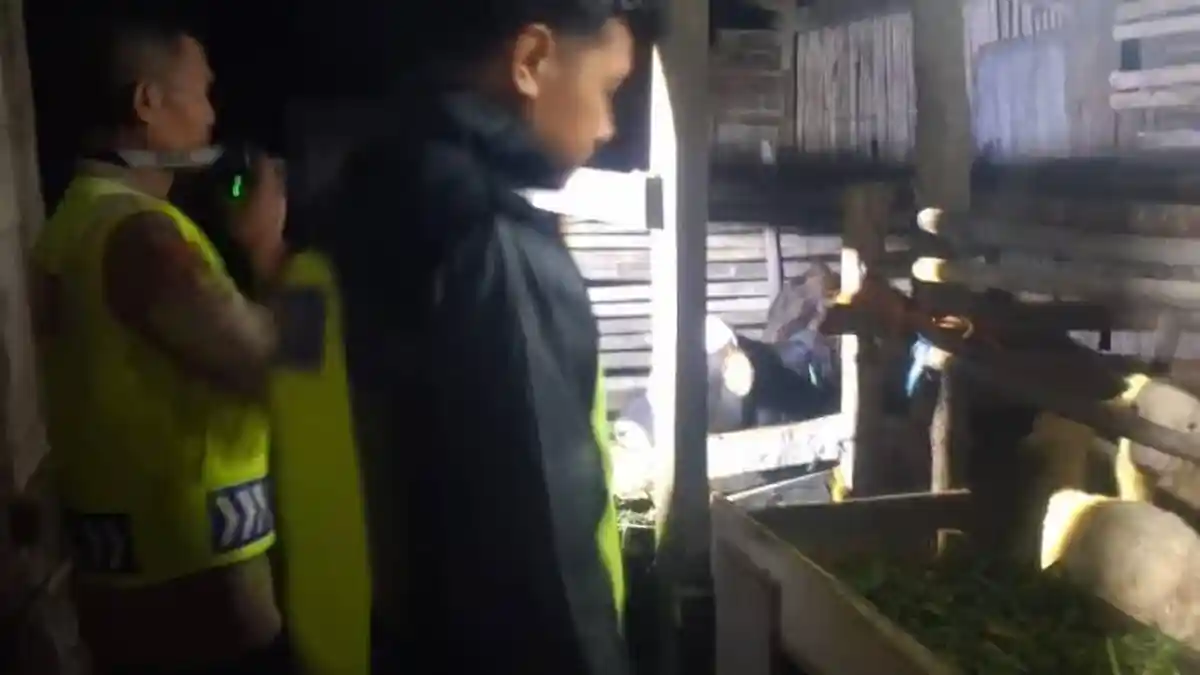 Ternak Mati Diserang Macan Tutul di Karanganyar, Polisi Koordinasi dengan BKSDA