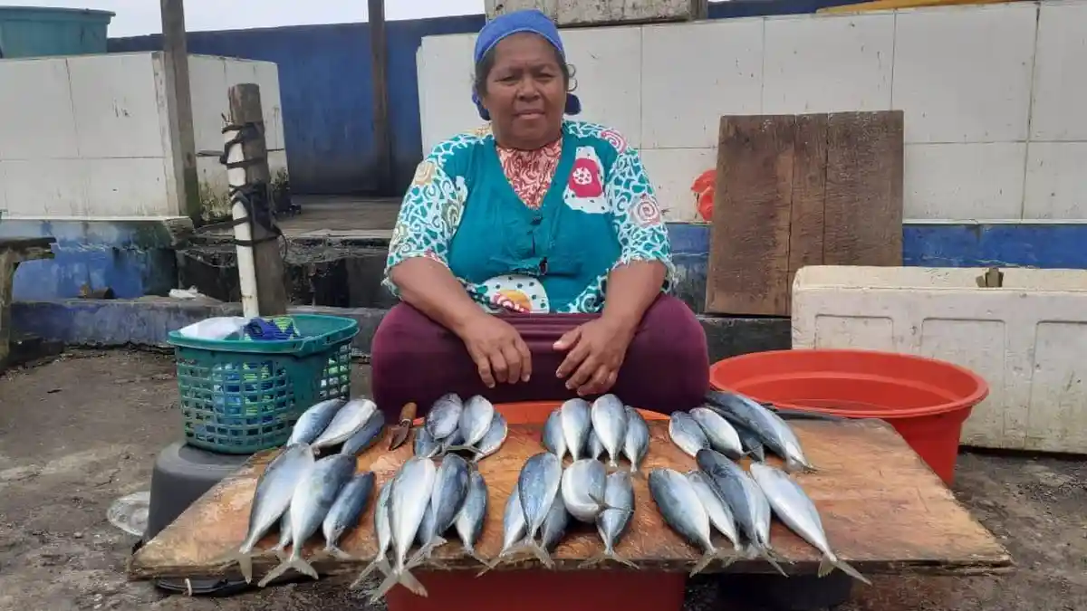 Cuaca Buruk, Ikan Cakalang di Seram Tembus Rp 800 Ribu