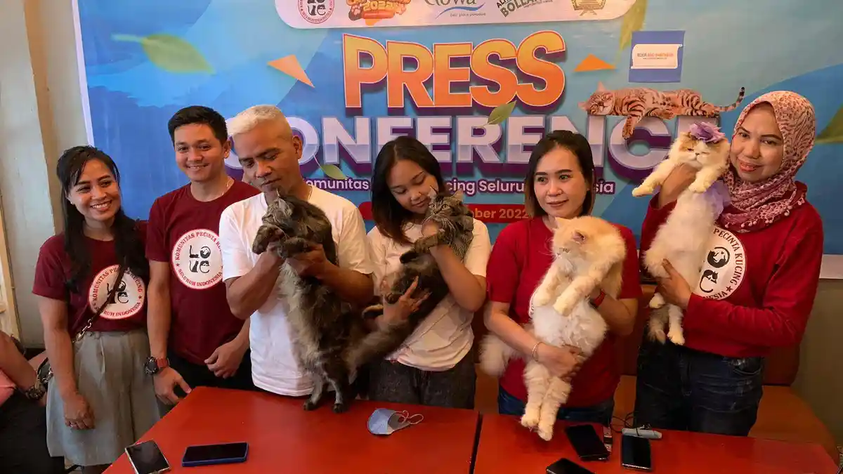 Oktober 2022, Ratusan Pecinta Kucing Bakal Berkumpul di Gowa