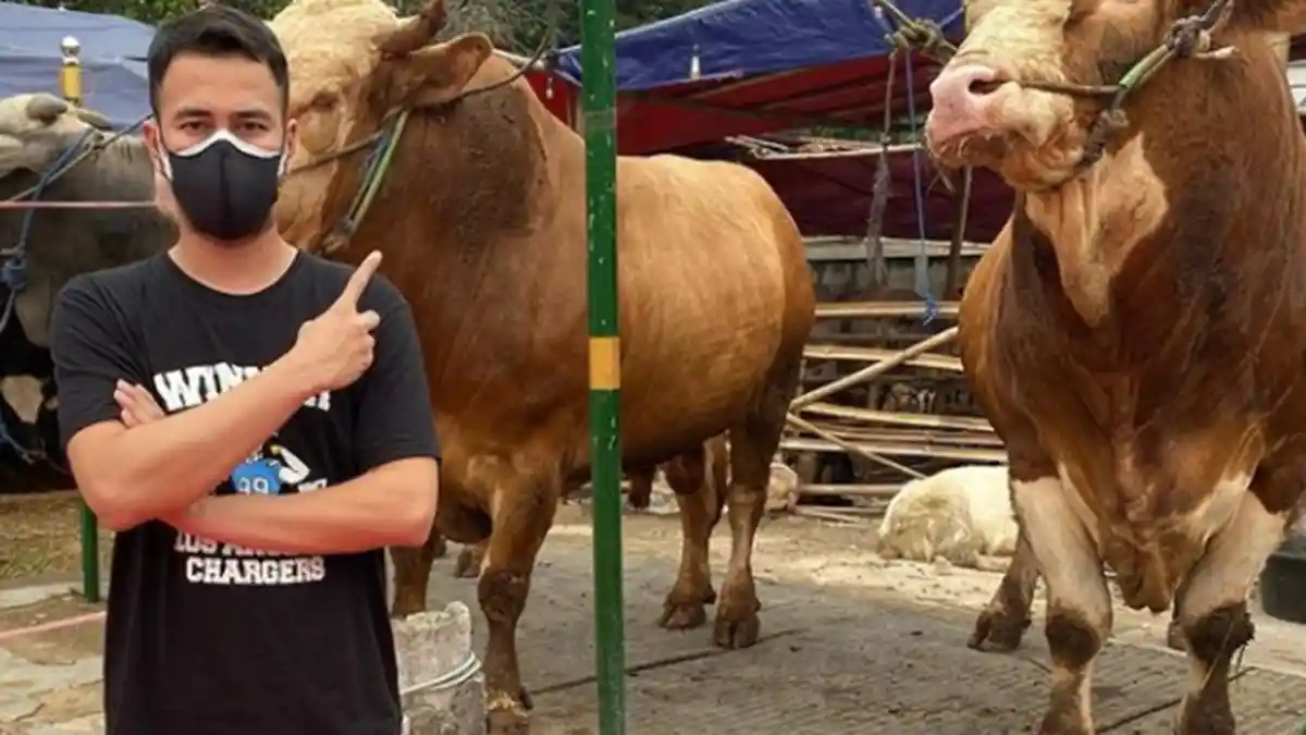 Potret 4 Artis yang Berkurban di Idul Adha 2021, Raffi Ahmad Borong 10 Ekor Sapi dan Kambing