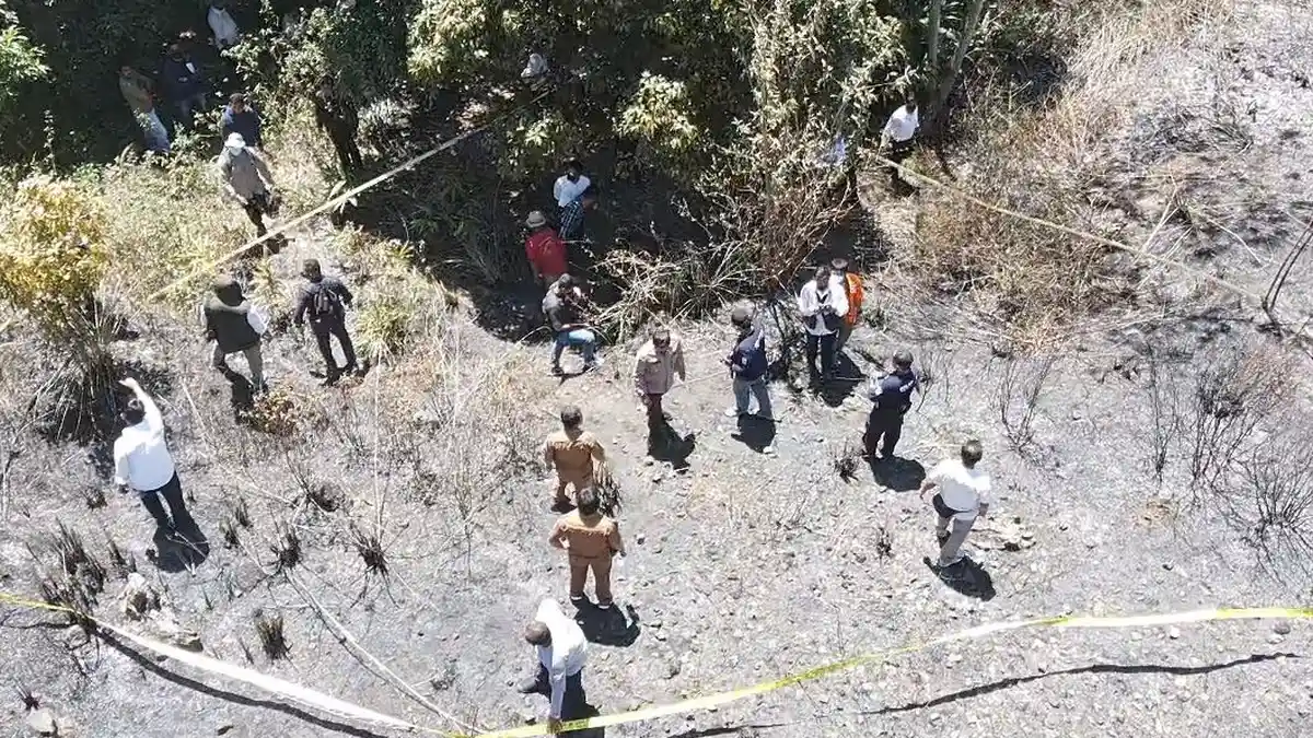 Pemandangan Danau Toba Bakal Jelek, Hutan Sengaja Dibakar, di Kabupaten Samosir Ada 15 Titik