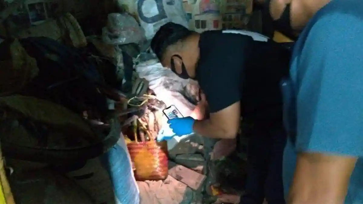 Suami Bunuh Istri dan Sembunyikan Mayat di Bawah Ranjang, Diduga Sudah 40 Hari Tak Bernyawa