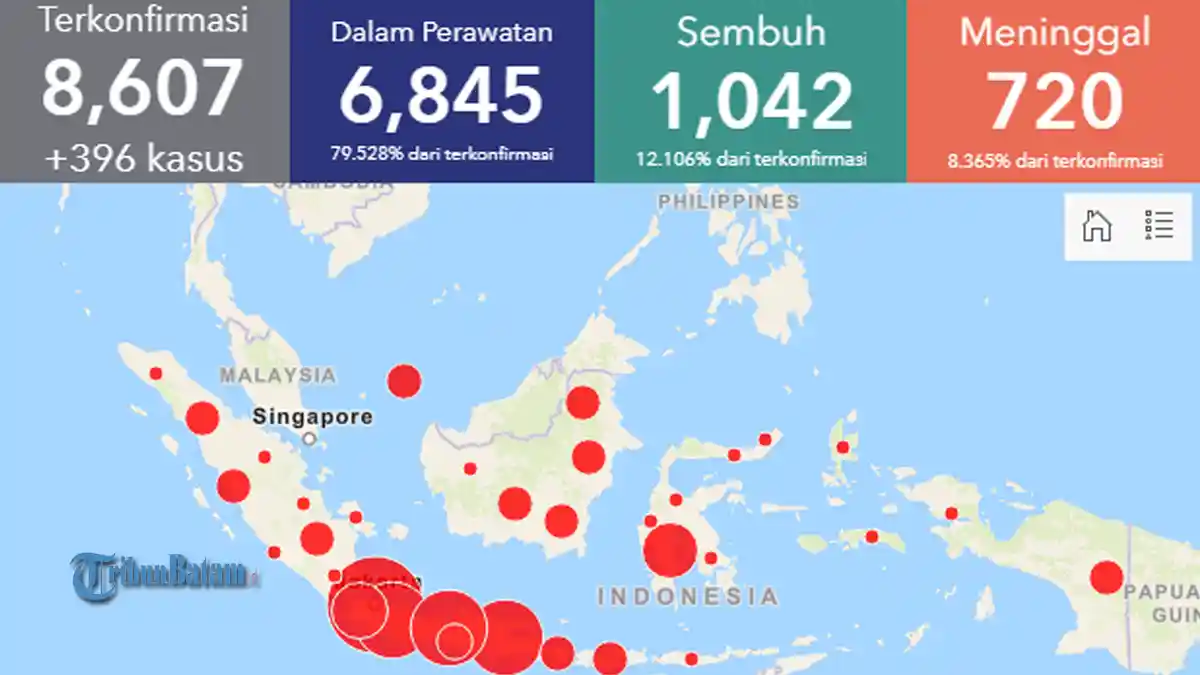 Data Corona 34 Provinsi di Indonesia Minggu (26/4) Pagi, Total Nasional 8.607, Sembuh 1.042