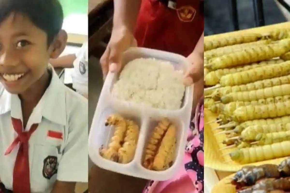 Viral, Guru SD Diserang Netizen Setelah Unggah Video Muridnya Bawa Bekal Dengan Lauk Ulat Sagu