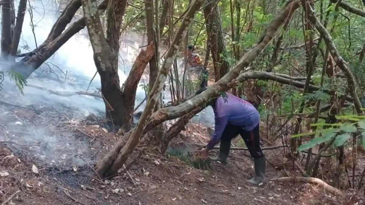 Hujan Deras Padamkan Karhutla Bukit Tapan Nganjuk