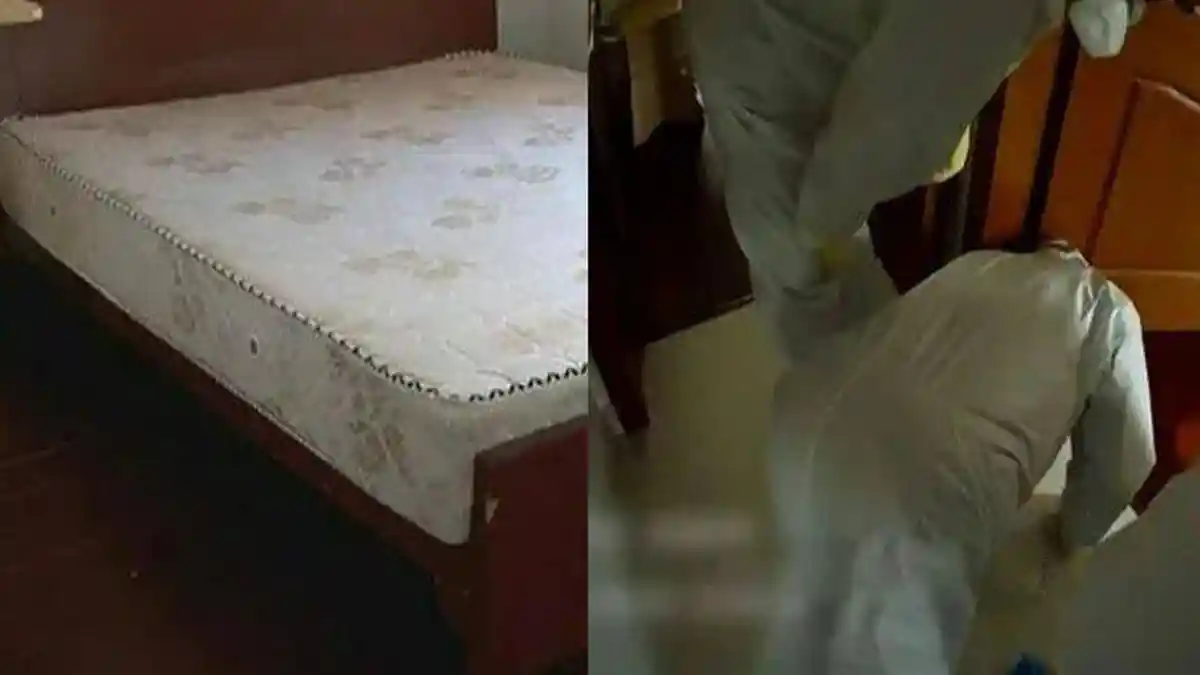 Diminta Jaga Rumah Teman, Pria Ini Malah Temukan Mayat di Bawah Tempat Tidur, Kejahatan Terungkap