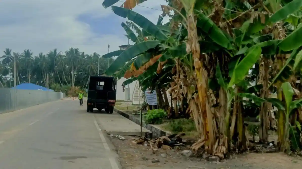 Tak Ada Tumpukan Sampah, Eks TPS Pasar Lama Ranai Natuna Kini Bersih Usai Dijaga Satpol PP