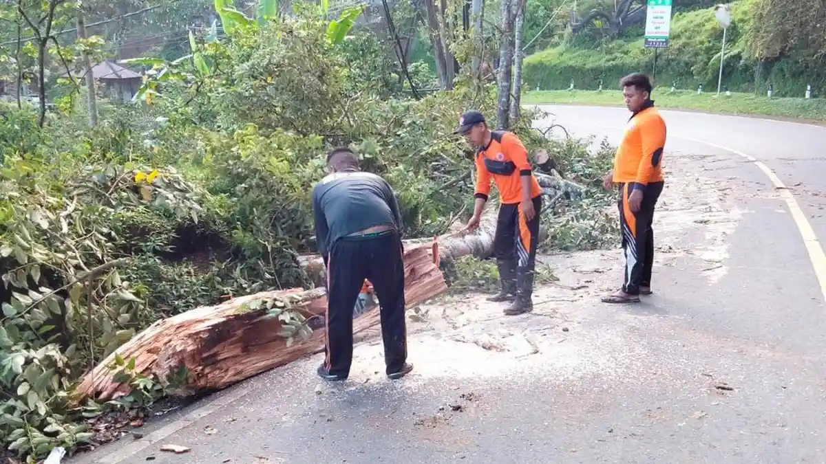 BAHAYA LONGSOR di Buleleng, BPBD Petakan Daerah Rawan Bencana