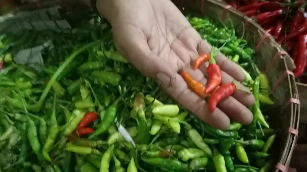 Daftar Harga Cabai saat Ramadan 2021 di Pasar Gagan Boyolali, Rawit Merah Rp 50 Ribu Per Kg