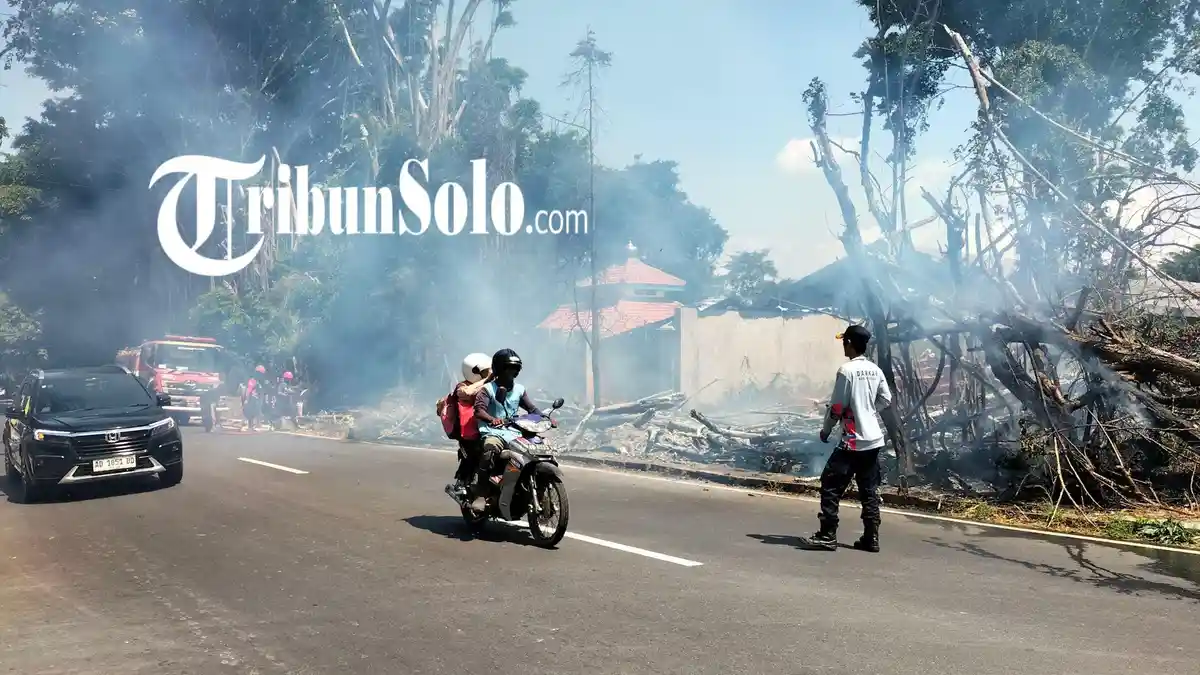 Kayu Tebangan Pohon Beringin di Winong Boyolali Terbakar Hingga Ganggu Pengendara 