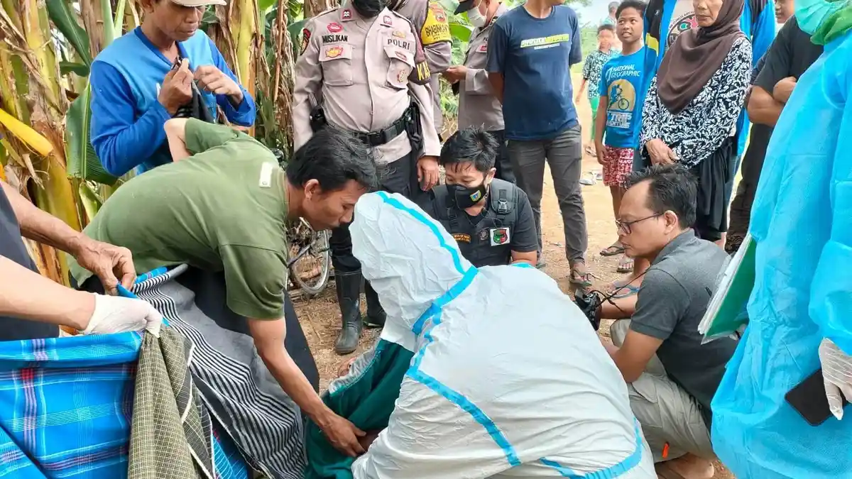 Warga Temulus Kudus Digegerkan Temuan Petani yang Mendadak Meninggal di Area Persawahan