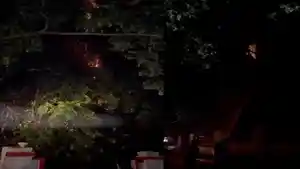 Pohon-Beringin-di-Jalan-Abadi-Kolaka-Sultra-Terbakar-Disambar-Petir-Api-Dipadamkan-Setelah-1-Jam.jpg