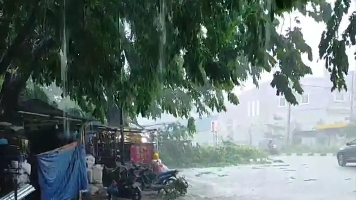 Dikira Ada Kecelakaan, Ternyata Pohon Tumbang, Dampak Hujan Deras & Angin Kencang di Batam