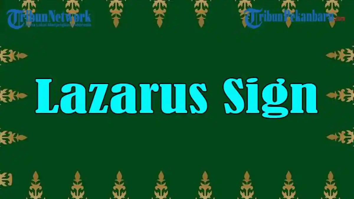 Arti Kata Lazarus Sign dan Artinya, Arti Lazarus Sign dalam Kesehatan ...