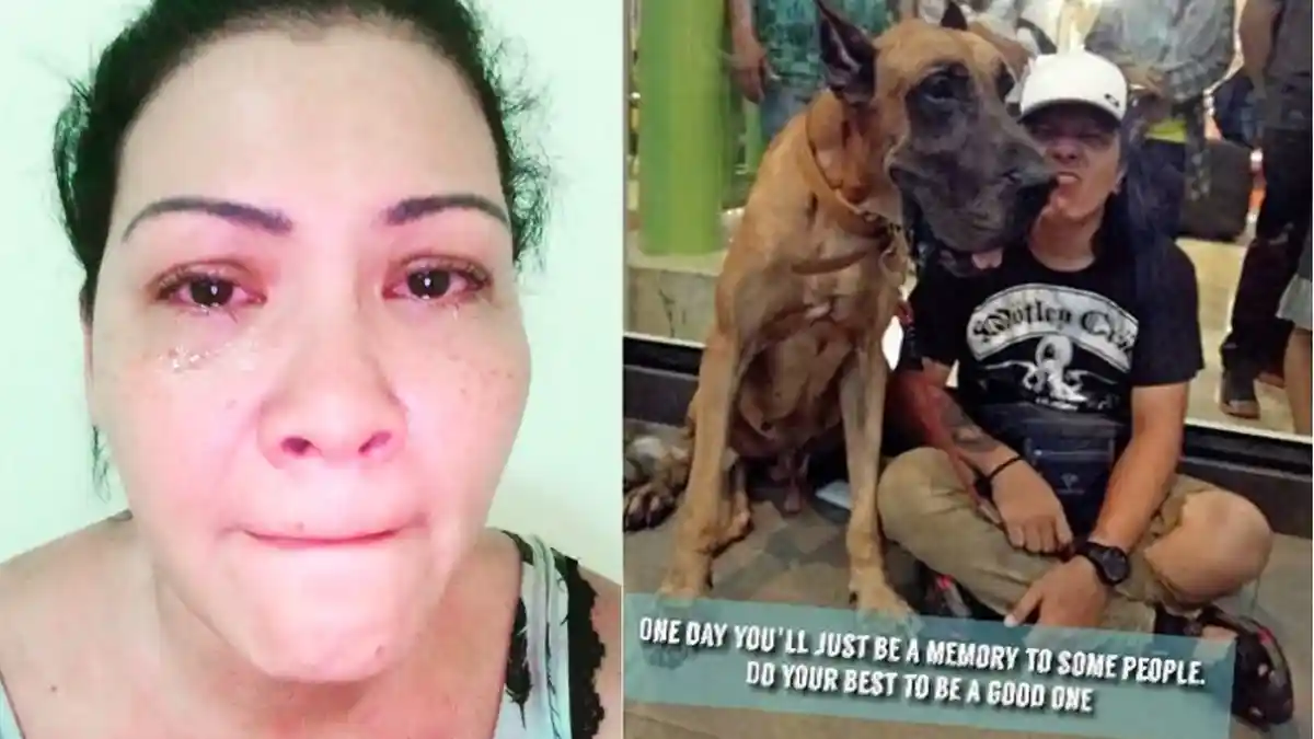 Kasus Anjing Kesayangan Melanie Subono Merembet ke Sejumlah Kasus