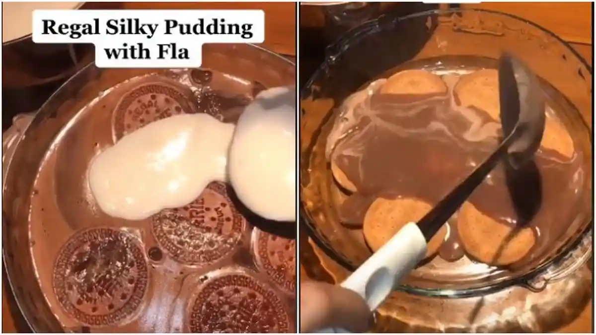 Resep dan Cara Membuat Regal Silky Pudding Cokelat dengan Fla, Resep Viral TikTok