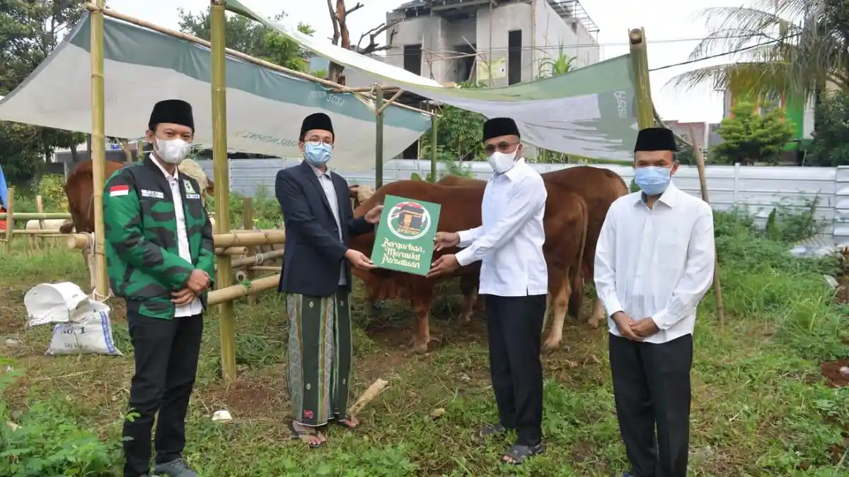 Salurkan Hewan Kurban, PPP Gandeng Ormas Islam, Tokoh Masyarakat, hingga Pesantren